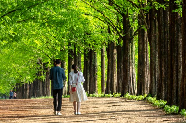 가을철 열성질환 주의법이 주목된다. 사진은 기사 내용과는 무관함. /사진=이미지투데이