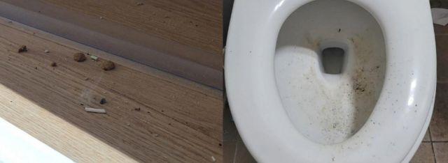 A씨가 공개한 사진. /사진=보배드림 캡처