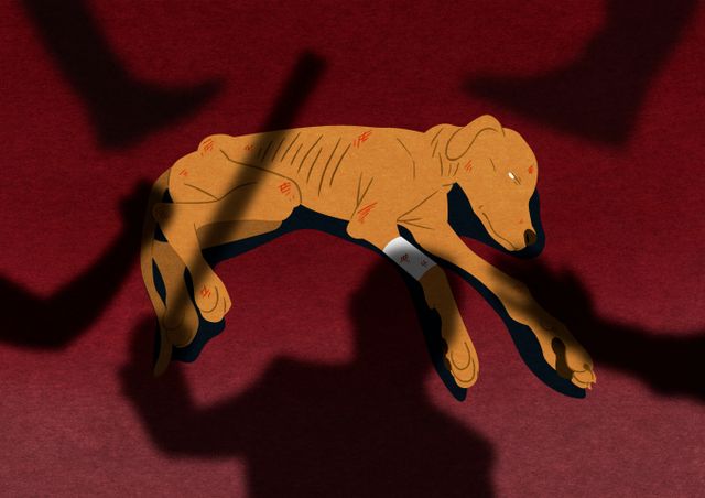 개 50여 마리를 한 공간에서 기르며 30마리를 아사 직전까지 몰고간 60대 여성이 항소심에서도 징역형 집행유예를 선고받았다./사진=이미지 투데이