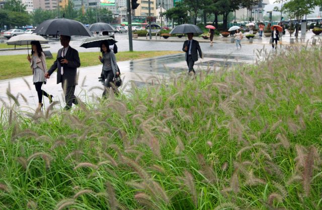개천절을 맞은 3일 목요일은 전국 대체로 흐린 날씨를 보이며 비가 내릴 예정이다. 사진은 청계광장에 우산을 쓴 시민들이 길을 건너는 모습. /사진=머니투데이
