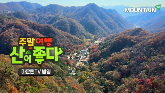마운틴TV가 추천하는 가을 산 프로그램에 대한 관심이 높아지고 있다. 사진은 장성 백암산. /사진=마운틴TV 제공