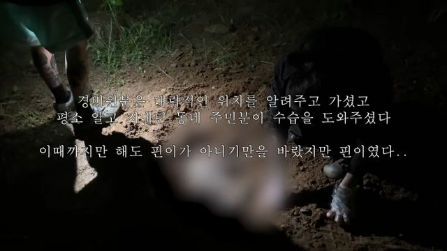 유튜버 '다나나'가 청소업체 부주의로 11년간 키운 반려묘를 잃었다고 전했다. /사진=유튜브 '다나나' 채널 영상 캡처