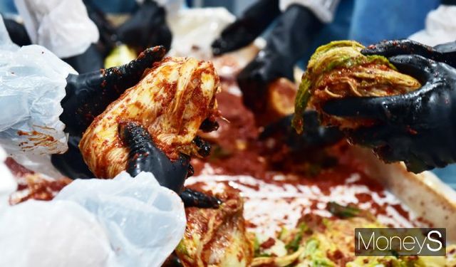 ▲ 어떤 김치가 더 맛있을까