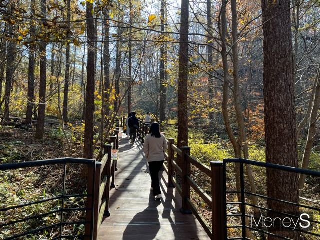 국립횡성숲체원은 국가 제1호 산림교육센터다. 다양한 산책코스뿐 아니라 스트레칭 등 교육활동도 운영하고 있다. /사진=김서현 기자