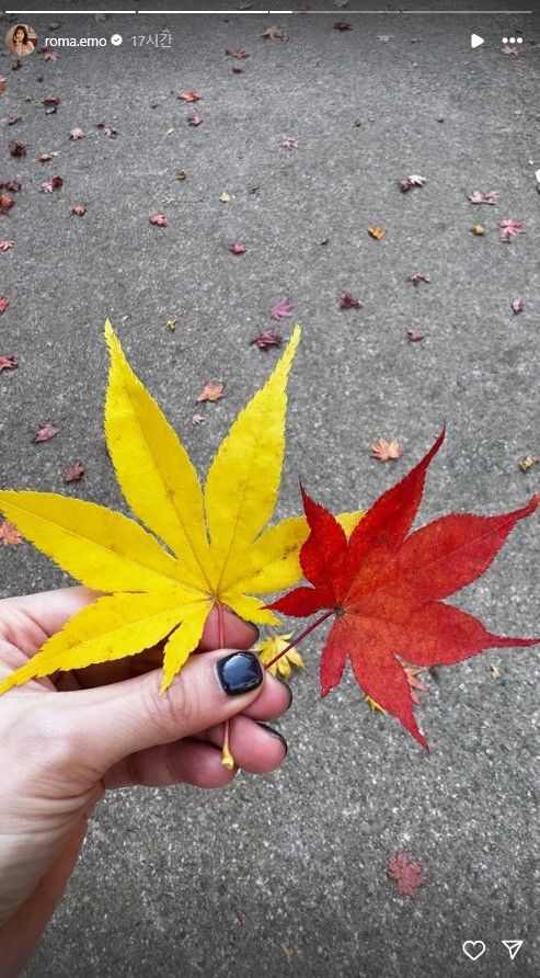 핑크빛 열애 중인 배우 한지민이 근황을 알렸다. /사진=한지민 인스타그램