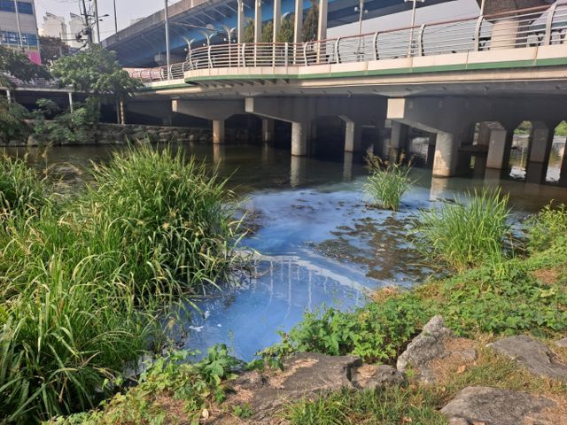 광주 동구 광주천에 페인트 희석수가 유출돼 환경당국이 방제 작업에 나섰다. 사진은 12일 광주 동구 남강교 하부 광주천에 페인트 희석수가 유입돼 동구가 방제에 나선 모습. /사진=뉴시스(광주 동구 제공) 
