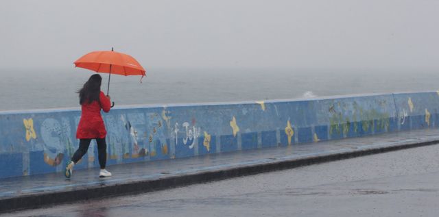 관측 사상 역대 11월 중 태풍 4개가 동시에 발생할 것으로 보인다. 사진은 제21호 지난 1일 제주시 용담해안도로에서 관광객이 우산을 쓰고 이동하는 모습. 해당 기사와 상관없음. /사진=뉴스1