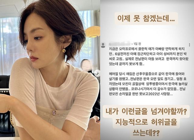  방송인 채림이 허위사실 유포에 분노했다. 사진은 채림이 인스타그램에 올린 악성댓글. /사진=채림 인스타그램