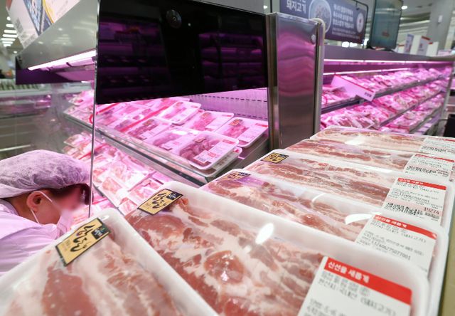 파를 제외한 대부분 채솟값이 내리고 돼지고기 삼겹살 값도 싼 편이다. 지난 7월 서울의 한 대형마트에서 직원이 삼겹살 판매대를 정리하고 있다. /사진=뉴시스