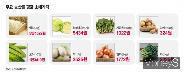 무와 양파 등 대부분 채솟값이 전주 대비 하락했다. /그래픽=강지호 기자