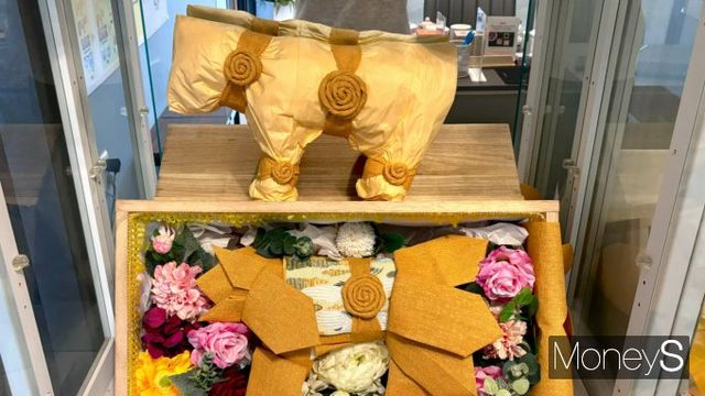 반려동물 장례 순서는 염습, 입관, 추모 예식, 화장, 분골, 봉안이다. 사진은 관의 모습. /사진=윤채현 기자