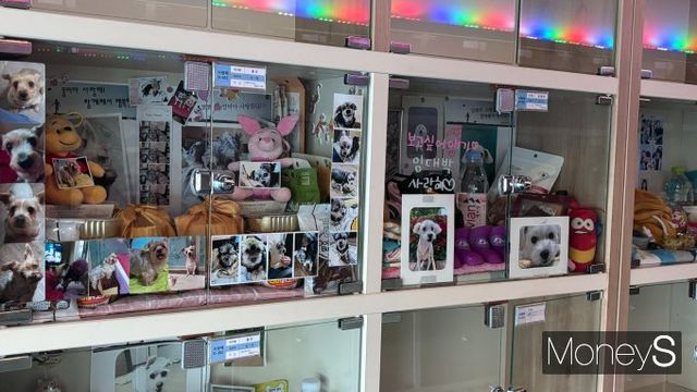 해당 장례식장 3층에는 납골당이 있어 유골을 안치할 수 있다. 사진은 납골당에 사진이 빼곡히 붙은 모습. /사진=윤채현 기자