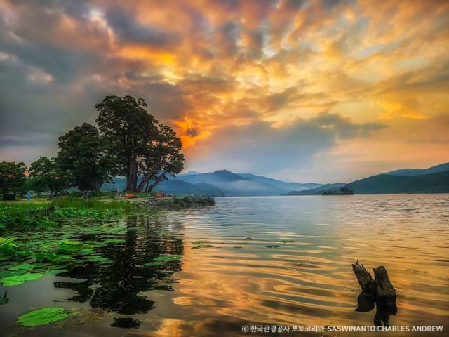 양평 두물머리의 그림같은 풍경. /사진=한국관광공사