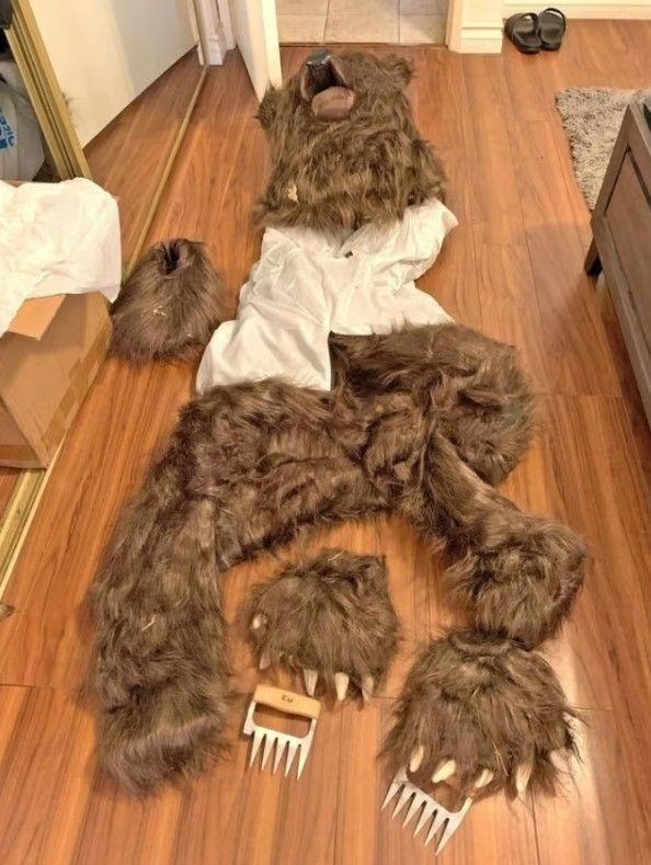 '곰 발톱 작전'이라 불리는 신박한 보험사기 수법이 경찰에 발각돼 화제다. 경찰이 발견한 곰 의상./사진=X 옛 트위터 캡처