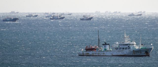  제주 근해에 풍랑특보가 내려진 17일 오후 제주 서귀포시 안덕면 화순항 앞바다에 중국 어선 500여 척이 긴급 피항했다. /사진=뉴시스