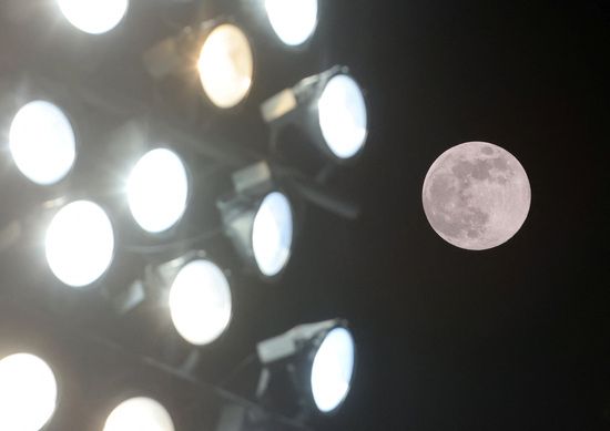 지난 15일(현지시각) 키프로스 라르나카의 스타디움 조명 옆에 '비버 문'이라는 이름의 2024년 마지막 슈퍼문이 솟아 있다./사진=로이터