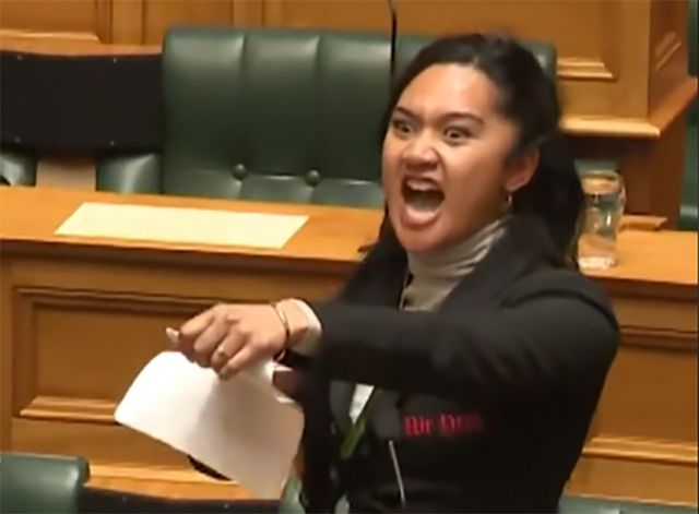 마오리족 의원들이 법안에 반대하며 전통춤 '하카'를 추는 일이 벌어졌다. /사진=틱톡 캡쳐