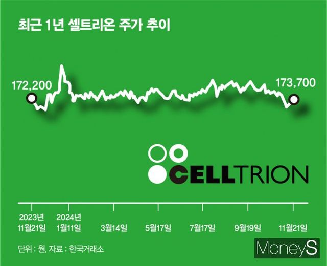 최근 1년간 셀트리온 주가 추이. /그래픽=김은옥 기자