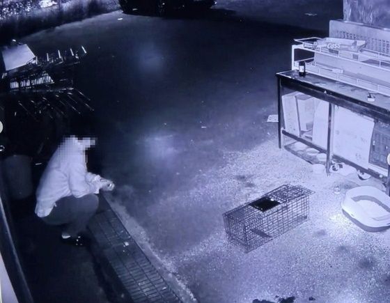 쇠막대기로 길고양이를 학대한 혐의를 받는 남성이 유명 디저트 카페 셰프 A씨라는 보도가 나왔다./사진=동물시민단체 SNS 갈무리