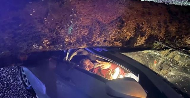 나무가 쓰러지면서 현대차를 덮치는 사고가 발생했으나 운전자는 다친 곳 없이 무사히 구조됐다. /사진=KINGTV 보도화면 캡처