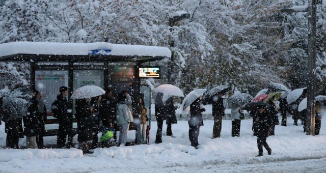 기상청이 경기도 전역에 내려진 대설특보가 모두 해제했다. 사진은 28일전 경기 화성시 한 버스정류장에서 출근길에 오른 시민들이 버스를 기다리는 모습. /사진=뉴스1