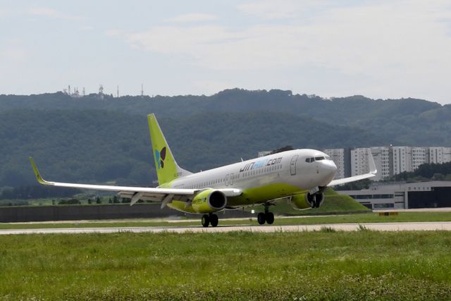 대한항공과 아시아나항공의 합병에 따라 자회사인 LCC 3사의 합병에도 관심이 모인다. 사진은 진에어 여객기. /사진=뉴스1