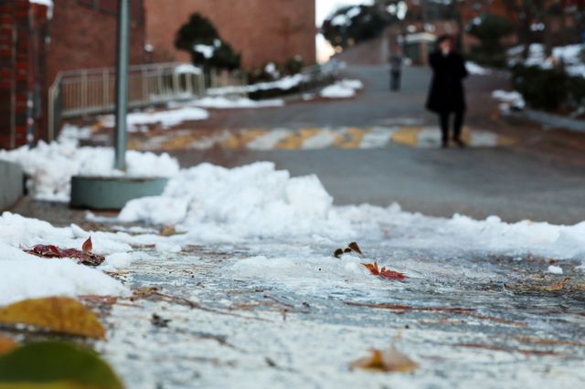 사진은 29일 서울 종로구의 얼어 붙은 도로. /사진=뉴스1
