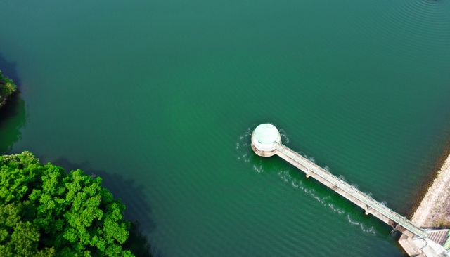 경기 수원시 장안구 광교저수지에서 산책 중이던 60대 여성이 사슴뿔에 찔리는 부상을 입었다. 사진은 지난 6월11일 경기 수원시 장안구 광교저수지의 모습. /사진=뉴시스