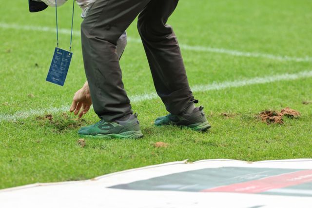 서울월드컵경기장이 올해 경기장 대관으로 약 110억원의 수익을 거둔 가운데 최근 3년간 잔디 연구 용역에 200만원을 지출한 사실이 알려졌다. 서울 마포구 서울월드컵경기장에서 경기장 관계자가 잔디를 보수하고 있는 모습./사진=뉴스1