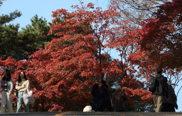 오늘인 9일부터 전국이 대체로 맑겠으나 경상권은 구름이 많겠고 제주도는 대체로 흐리겠다. 서울 남산에 단풍이 물들어 있는 모습 /사진=뉴시스