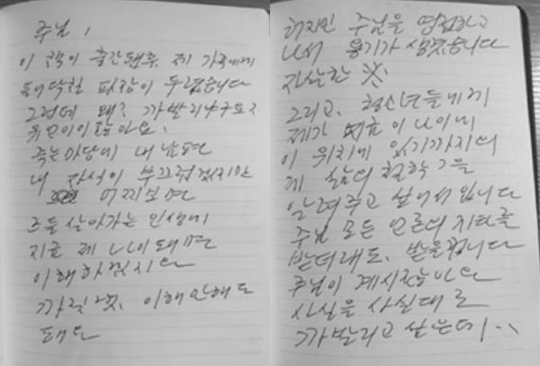 김수미가 30대부터 말년까지 41년간 솔직한 심정을 털어놓은 일기가 공개됐다. 사진은 김수미 생전 일기. /사진=뉴스1