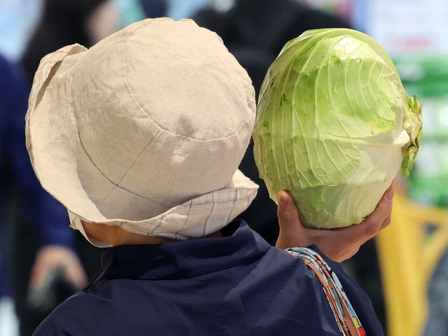 이번주 농산물 값이 전주 대비 대부분 하락했다. 지난 10월 서울 소재 한 대형마트에서 시민들이 양배추를 고르고 있다. /사진=뉴스1