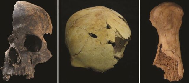 영국에서 학살과 식인 행위가 있었을 것으로 추정되는 청동기 시대 유골이 발견됐다. /사진=앤티쿼티