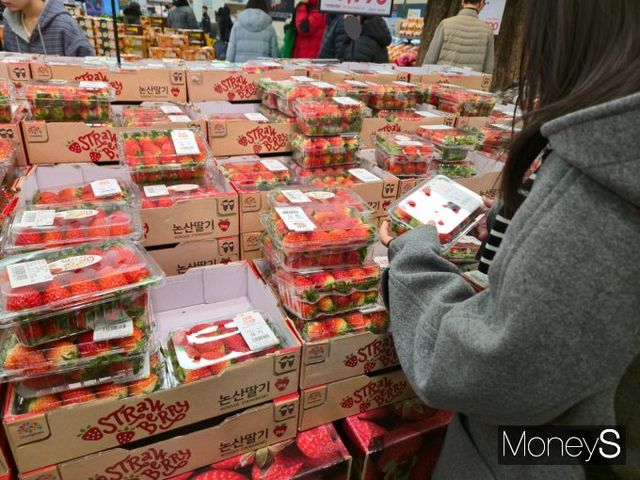 누적된 고물가에 탄핵 정국까지 겹치며 서민들의 장바구니 물가 부담이 커지고 있다. 18일 오후 이마트 왕십리점에서 한 소비자가 딸기를 살펴보고 있다./사진=김이재 기자