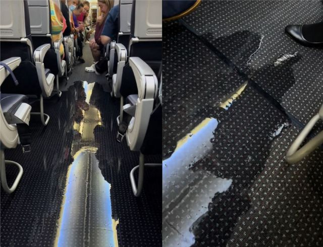 3만 피트 상공 위를 비행 중이던 미국의 한 비행기 내부 화장실에서 물이 새는 사고가 발생했다. /사진=틱톡 갈무리