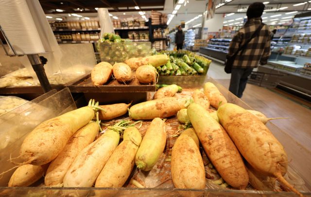 이번주 농산물은 양배추, 무 가격이 평년보다 월등히 높은 가격을 보였다. 서울 소재 유통매장에서 무가 판매되고 있다. /사진=뉴시스