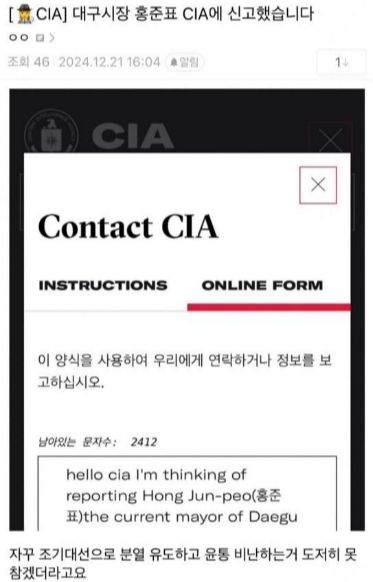 국민의힘 소속 홍준표 대구시장이 미국 중앙정보국에 신고당했다. /사진=온라인 커뮤니티 갈무리