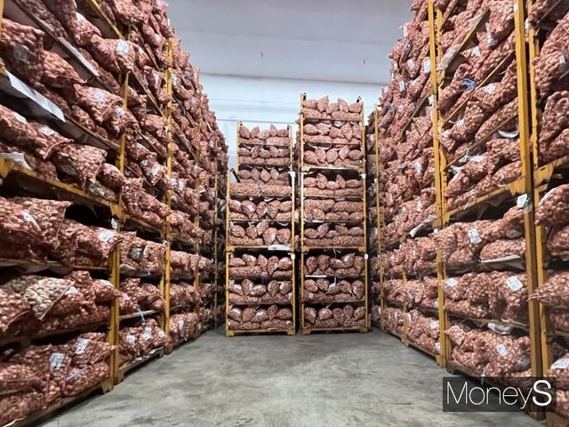 이마트가 후레쉬센터에 마늘과 양파 등 채소와 과일을 저장해 겨울철에도 안정적인 가격으로 농산물을 공급할 수 있도록 하고 있다. 23일 오전 경기 이천시 이마트 후레쉬센터에 마늘이 비축돼 있다. /사진=김서현 기자