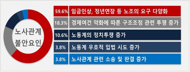 기업들이 꼽은 2025년 노사관계 불안요인 /그래픽=경총