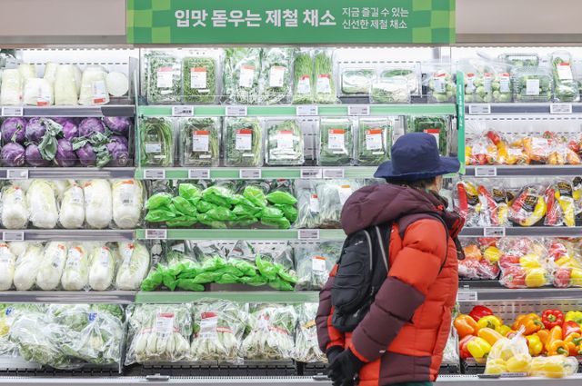 대한상공회의소의 2025년 유통산업 전망조사에 따르면 내년 국내 소매시장이 0.4% 성장에 그칠 것으로 집계됐다./사진=뉴스1