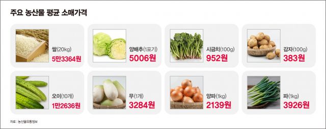 쌀, 양배추, 오이가 각각 지난주보다 내렸고 감자, 무, 파는 오름세를 보였다./그래픽=김은옥 기자
