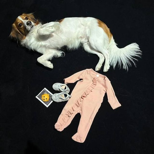 오타니 쇼헤이(30·LA 다저스)가 아내 다나카 마미코의 임신 소식을 알렸다. / 사진=오타니 쇼헤이 인스타그램