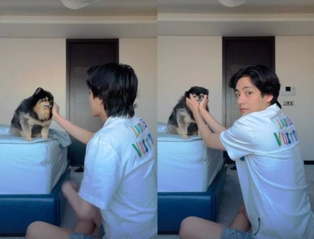 그룹 방탄소년단(BTS) 뷔의 반려견이 세상을 떠났다. /사진=뷔 인스타그램