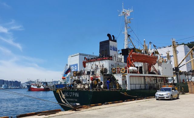 부산 감천항 선박에서 무단으로 이탈해 밀입국한 베트남인 선원이 3일 전남 고흥에서 검거됐다. 사진은 2020년 6월23일 부산 감천항에 정박한 러시아 국적 냉동화물선에서 코로나19 양성 판정을 받은 선원들이 하선 준비를 하는 모습. 해당 기사와 상관없음. /사진=뉴스1(부산소방본부 제공) 