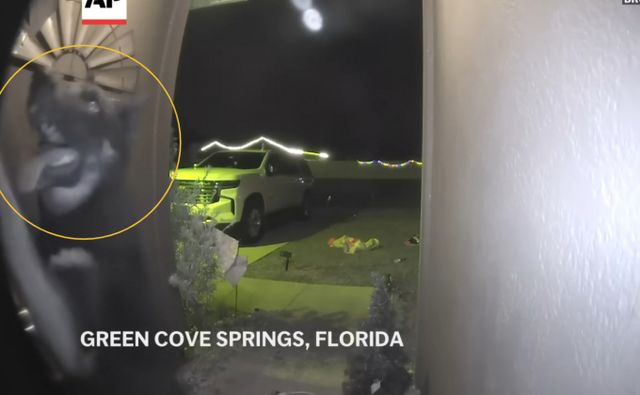 실종됐던 반려견이 크리스마스 이브에 가족 품으로 돌아온 사연이 전해졌다. 사진은 반려견 아테나가 초인종을 누르는 모습. /사진=AP통신