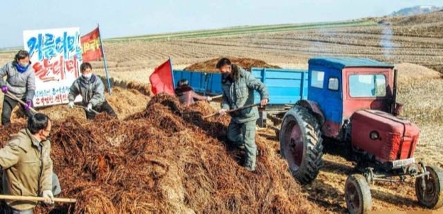 북한이 내년 초 농장에서 사용할 퇴비 마련을 위해 중고등학생들을 동원해 노동 시킨 것으로 전해졌다. 퇴비전투에 나선 평안남도 안주시 송학협동농장의 모습./사진=뉴스1(노동신문)