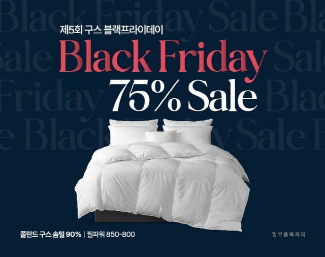 알레르망이 구스 블랙프라이데이 행사에 선보인 폴란드산 프리미엄 구스 침구 할인 이벤트 기한을 오는 8일까지 연장한다. /사진=알레르망