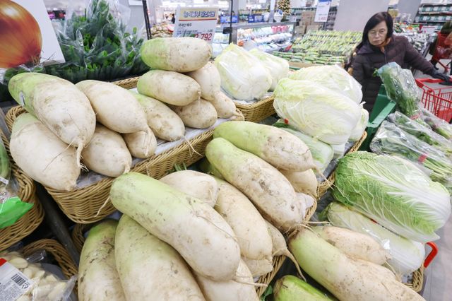 이번주 양파와 무 값이 전주 대비 올랐다. 지난 3일 서울 소재 한 대형마트 채소 코너에서 시민들이 무를 고르고 있다. /사진=뉴스1