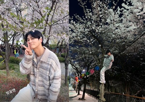 배우 최성준이 벚꽃 인증샷으로 뭇매를 맞고 있다. /사진=최성준 인스타그램