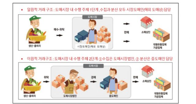 미국과 프랑스는 상품의 수집과 분산을 모두 시장도매인이 담당하는 것에 반해(그림 위) 한국은 수집과 분산을 각각 다른 상인이 맡는 이원적 거래 구조를 띠고 있다. /그래픽=한국농촌경제연구원
